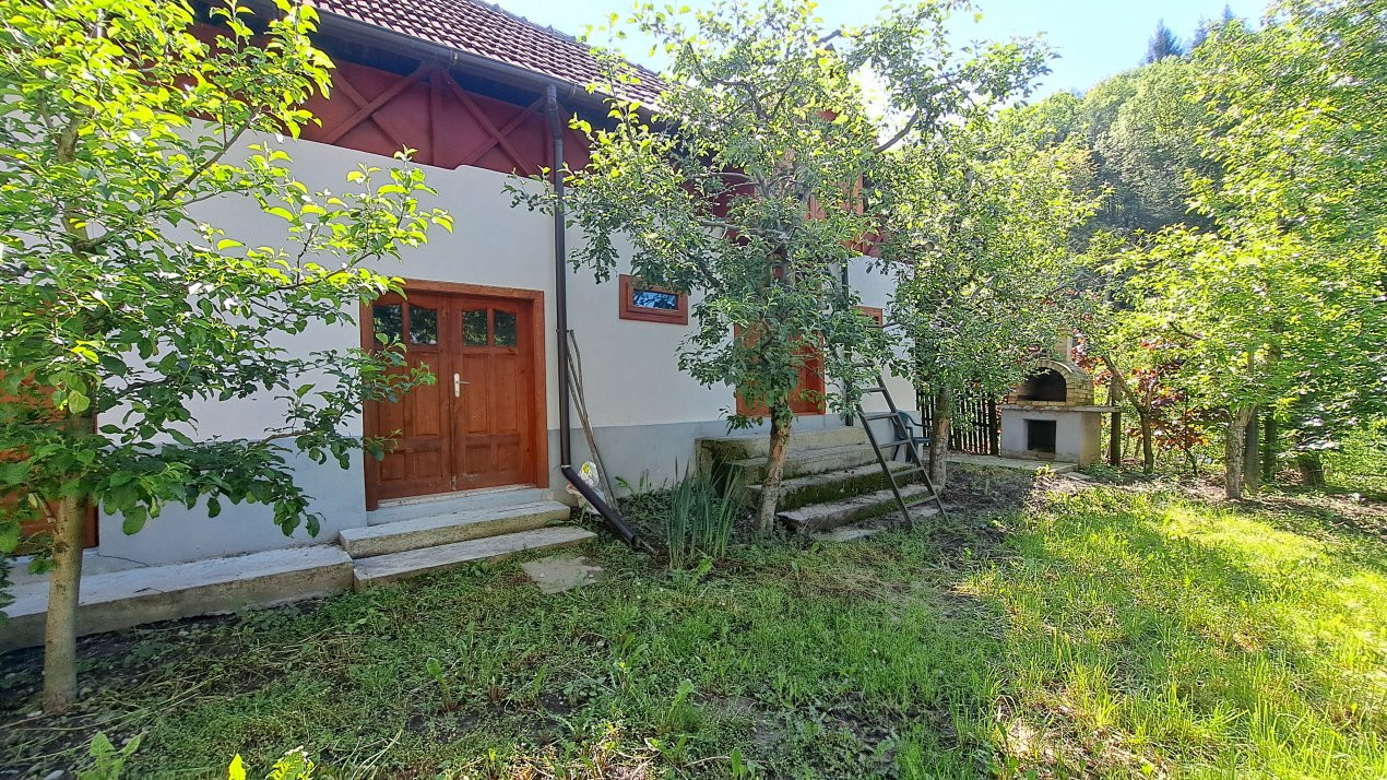 CASA SI LIVADA/ZONA DE DEALURI IMPADURITE/VALEA SCHEII/MANGA/VOINESTI/DAMBOVITA