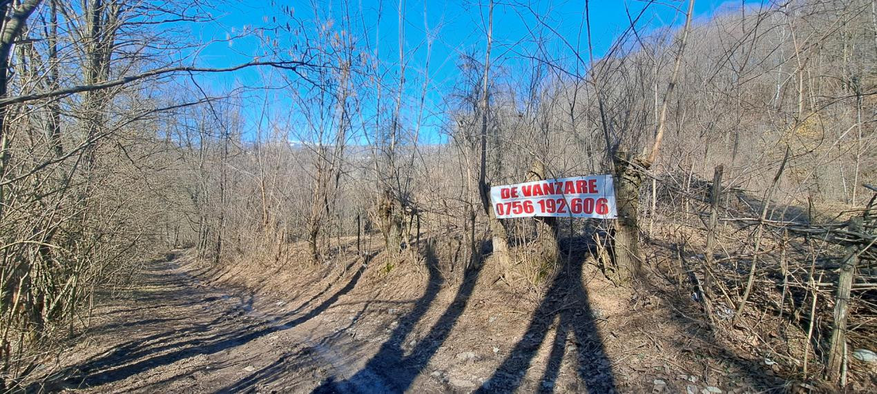 TEREN INTRAVILAN, 2142 mp, COMARNIC PRAHOVA, PODUL LUNG