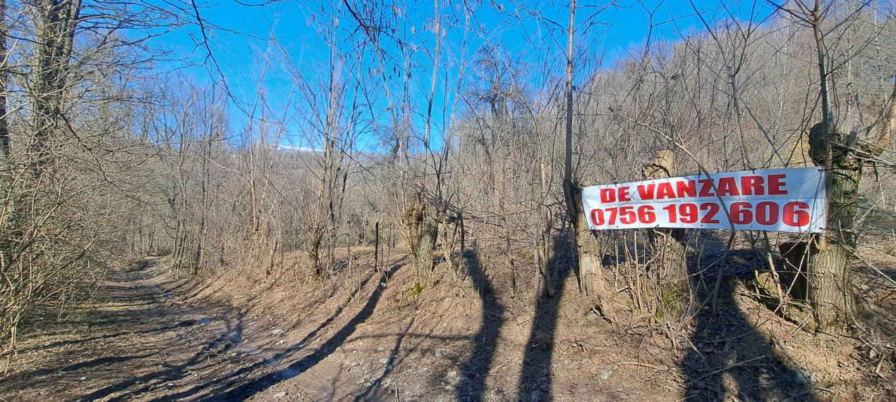 TEREN INTRAVILAN, 2142 mp, COMARNIC PRAHOVA, PODUL LUNG