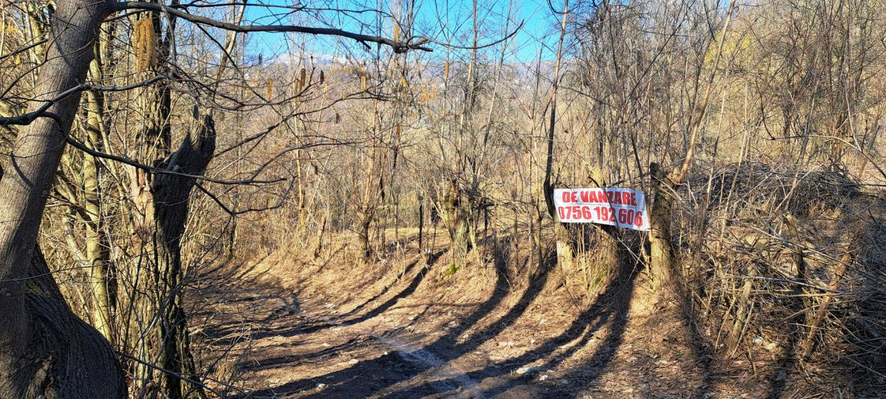 TEREN INTRAVILAN, 2142 mp, COMARNIC PRAHOVA, PODUL LUNG