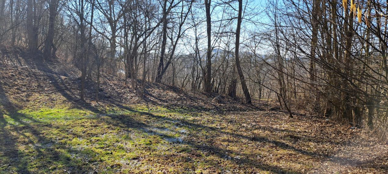 TEREN INTRAVILAN, 2142 mp, COMARNIC PRAHOVA, PODUL LUNG