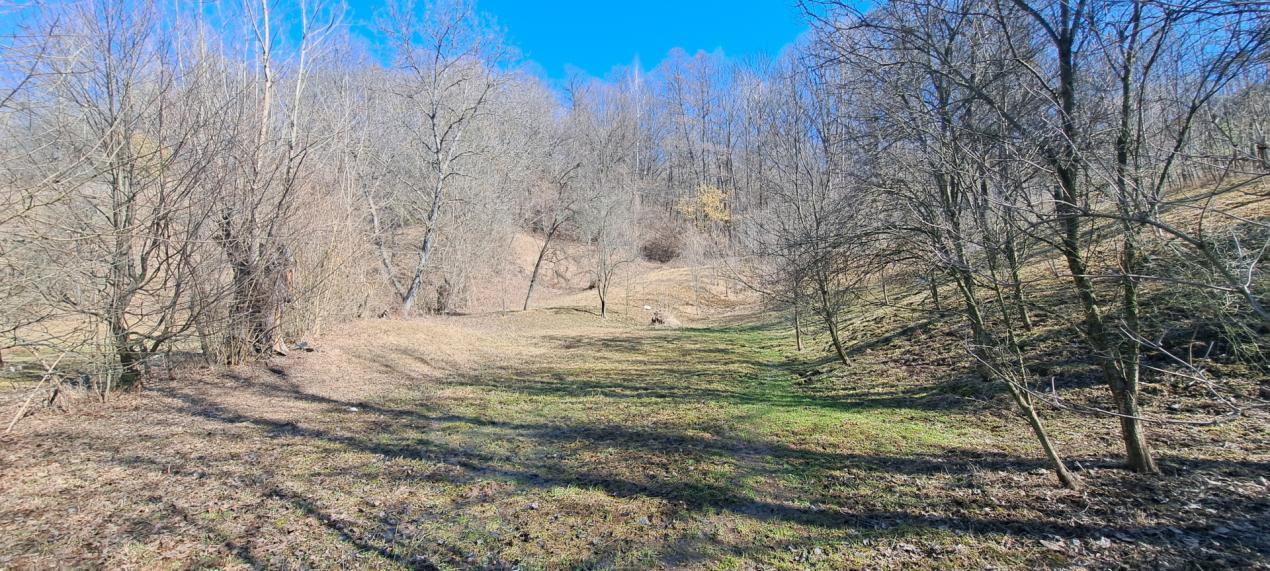 TEREN INTRAVILAN, 2142 mp, COMARNIC PRAHOVA, PODUL LUNG