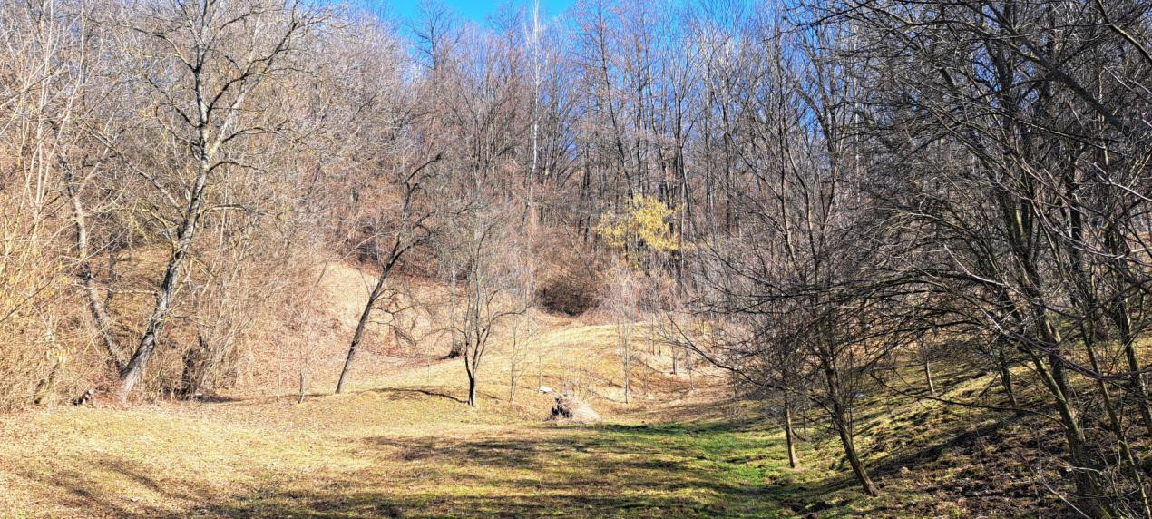 TEREN INTRAVILAN, 2142 mp, COMARNIC PRAHOVA, PODUL LUNG