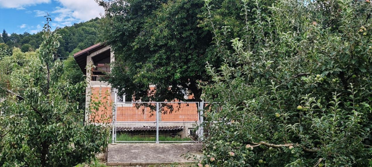PROPRIETATE DEOSEBITA-CASA & LIVADA-SAT MANGA, COM. VOINESTI, JUD. DAMBOVITA