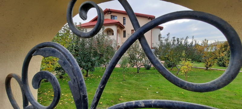 Vila superba cu piscina - 2200 mp - De vanzare - Domnesti